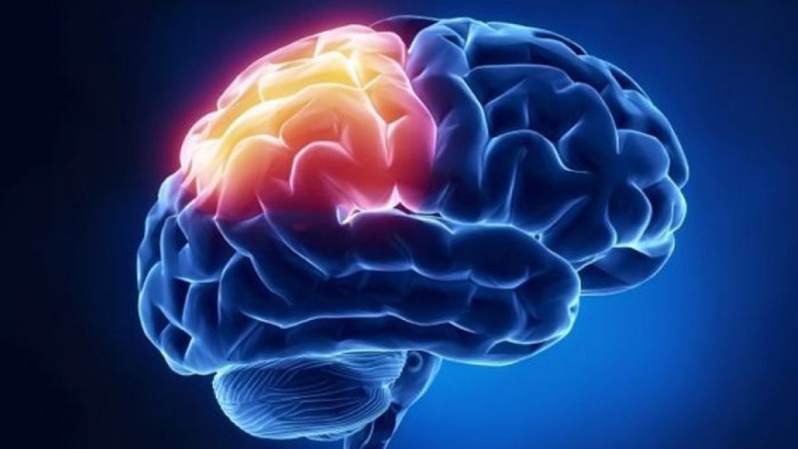 Header Brain Awareness Week 2024 ( 11 - 17 maart)